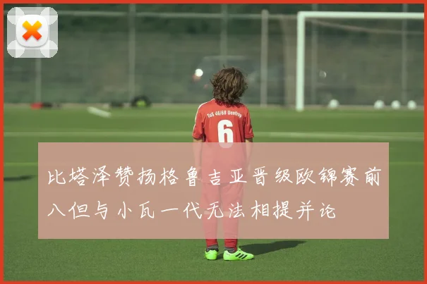 比塔泽赞扬格鲁吉亚晋级欧锦赛前八但与小瓦一代无法相提并论