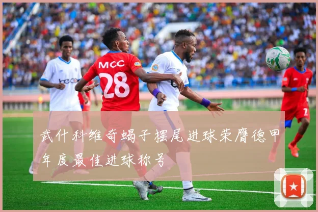 武什科维奇蝎子摆尾进球荣膺德甲年度最佳进球称号