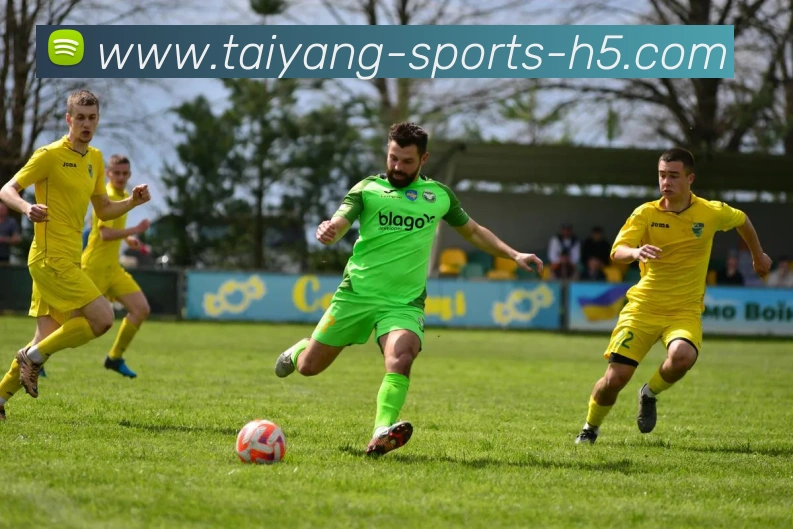 多媒体互动体验